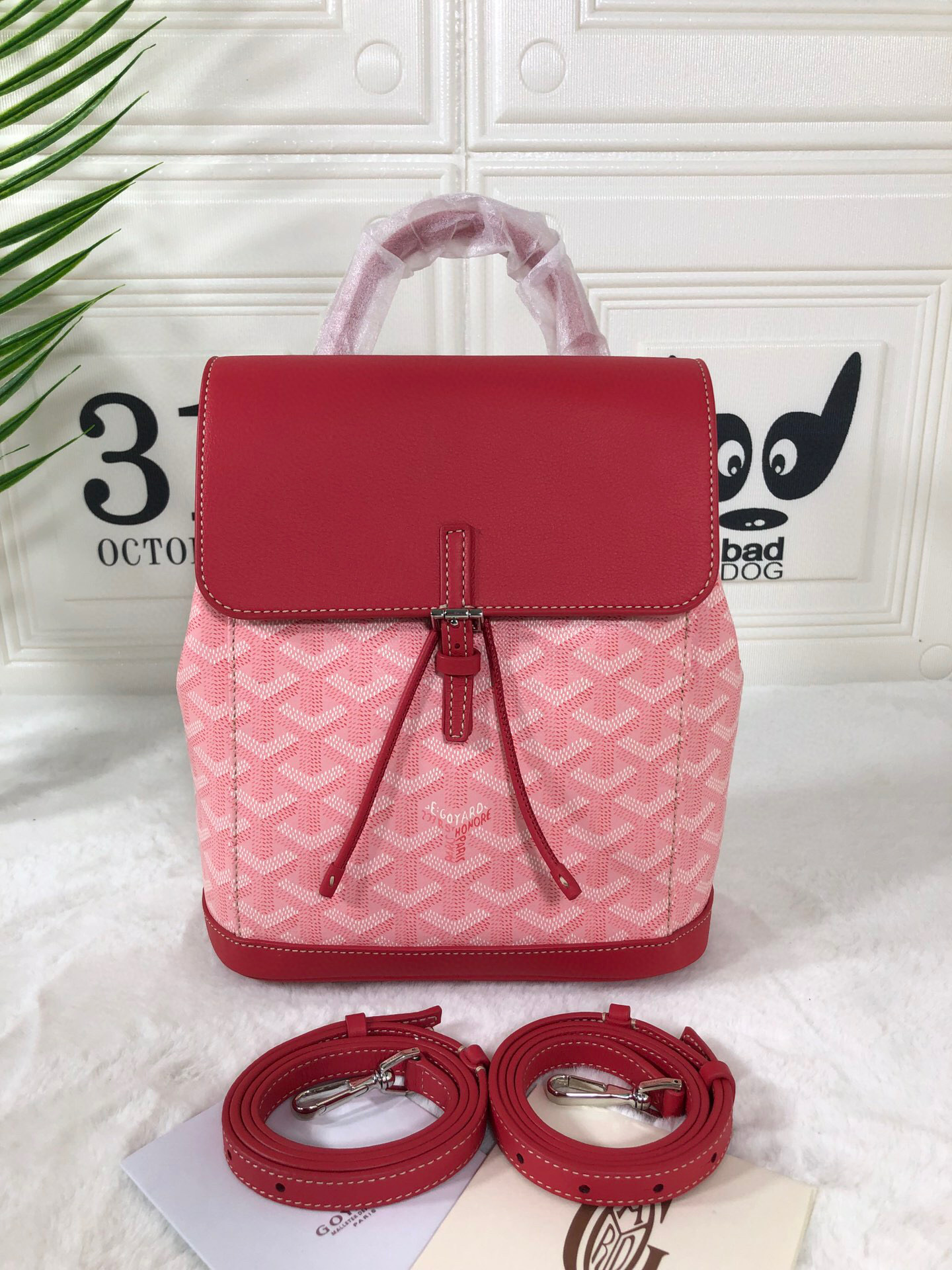 고야드 미니 백팩