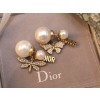 디올 귀걸이