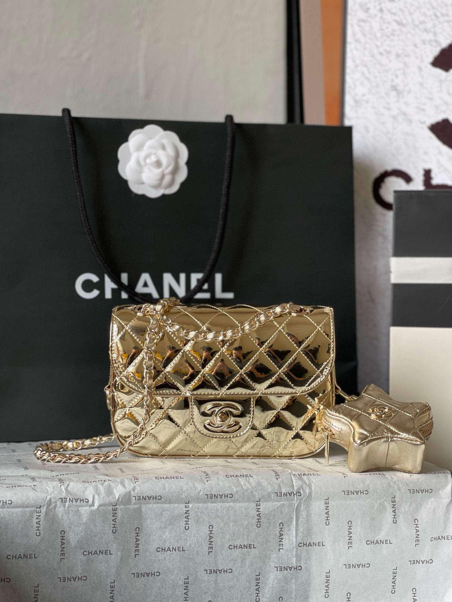 샤넬 AS4646 여자가방