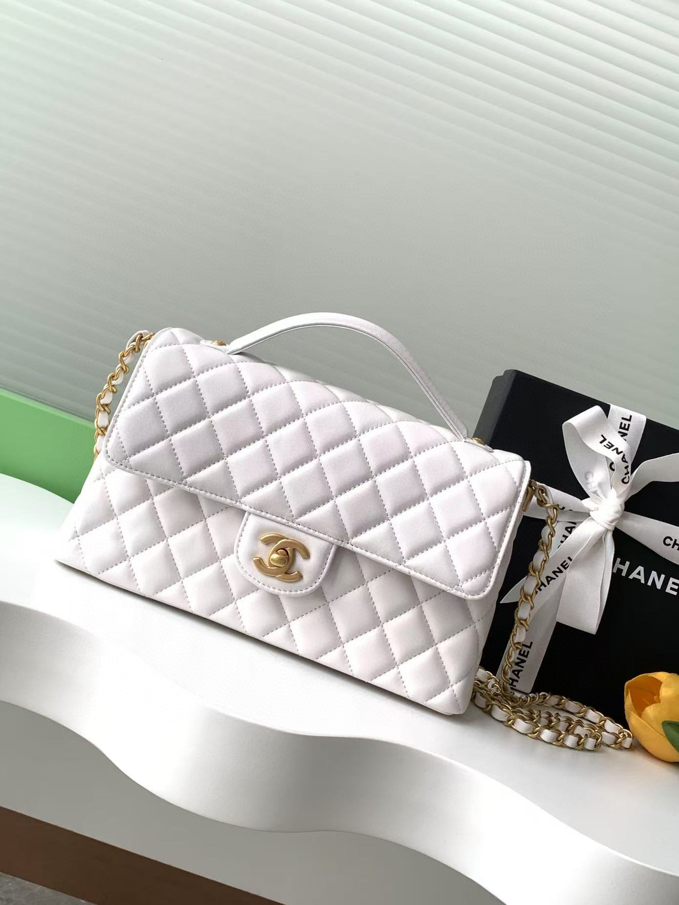 샤넬 여자가방 AS5356