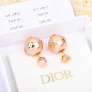 디올 귀걸이