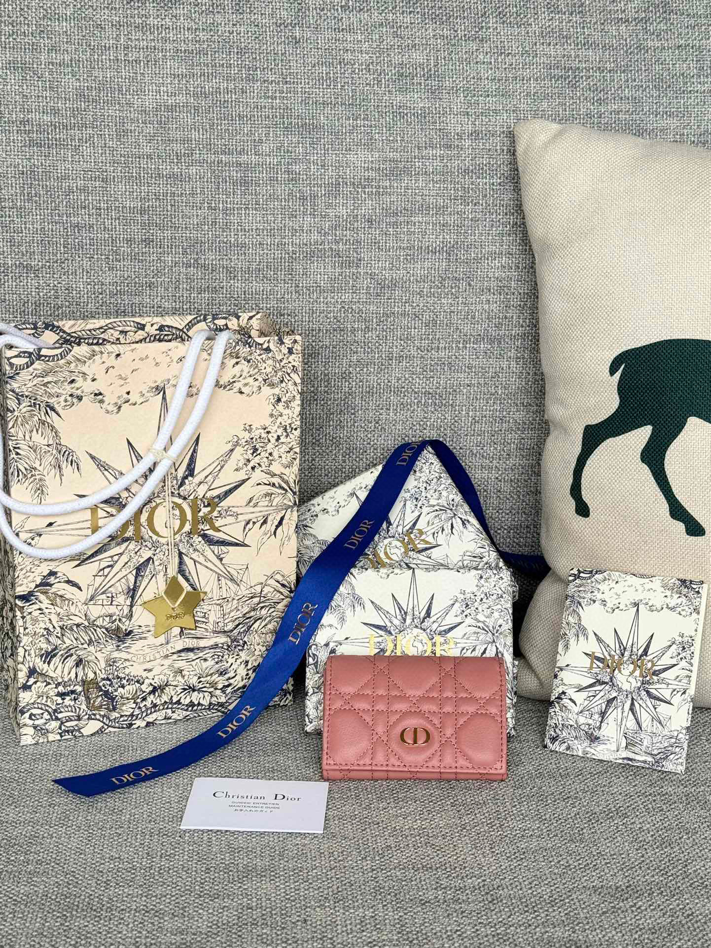 디올 S5132UWHC_M30G 여자 카드지갑 머니클립